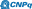 cnpq-logo-7.png