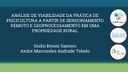 apresentacao-cic-cidti-2019-ap-cic-giulio-giulio-santoro-pdf.jpg