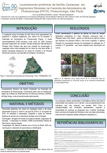 apresentacao-cic-cidti-2019-apresentacao-ana-banner-cic-visto-renata-ana-lucia-botelho-laschi-pdf.jpg