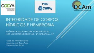 apresentacao-cic-cidti-2019-apresentacao-cic-caire-de-almeida-garcia-pdf.jpg