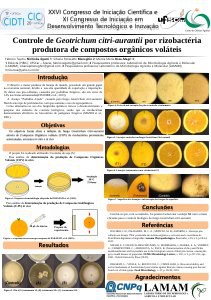 apresentacao-cic-cidti-2019-apresentacao-cic-fabricio-egami-pdf.jpg