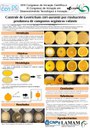 apresentacao-cic-cidti-2019-apresentacao-cic-fabricio-egami-pdf.jpg