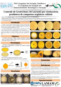 apresentacao-cic-cidti-2019-apresentacao-cic-fabricio-egami-pdf.jpg