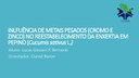 apresentacao-cic-cidti-2019-apresentacao-cic-lucas-giovani-pastore-bernardi-pdf.jpg