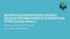 apresentacao-cic-cidti-2019-apresentacao-cic-lucas-giovani-pastore-bernardi-pdf.jpg