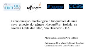 apresentacao-cic-cidti-2019-apresentacao-congresso-2019-juliana-cristina-porta-caldeira-pdf.jpg