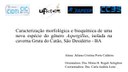 apresentacao-cic-cidti-2019-apresentacao-congresso-2019-juliana-cristina-porta-caldeira-pdf.jpg