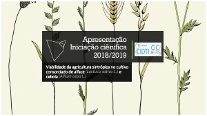apresentacao-cic-cidti-2019-apresentacao-final-ic-2018-2019-gisele-guimaraes-pdf.jpg