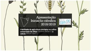 apresentacao-cic-cidti-2019-apresentacao-final-ic-2018-2019-gisele-guimaraes-pdf.jpg