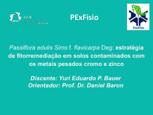 apresentacao-cic-cidti-2019-apresentacao-pexfisio-2-yuri-eduardo-pereira-bauer-pdf.jpg