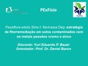 apresentacao-cic-cidti-2019-apresentacao-pexfisio-2-yuri-eduardo-pereira-bauer-pdf.jpg