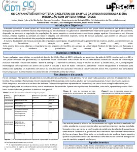 apresentacao-cic-cidti-2019-banner-renato-cic-pptx-renato-d-elia-feliciano-pdf.jpg