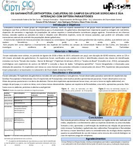 apresentacao-cic-cidti-2019-banner-renato-cic-pptx-renato-d-elia-feliciano-pdf.jpg