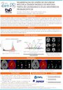 apresentacao-cic-cidti-2019-cic-2019-1-fernanda-ferreira-pdf.jpg