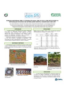 apresentacao-cic-cidti-2019-cic-2019-araras-ana-carolina-bertanha-pibic-alessandra-penha-pdf.jpg