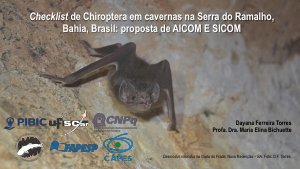 apresentacao-cic-cidti-2019-cic-final-pdf-dayana-torres-pdf.jpg