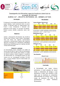 apresentacao-cic-cidti-2019-cic-hidromel-denis-bueno-pdf.jpg