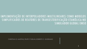 apresentacao-cic-cidti-2019-implementacao-de-interpoladores-multilineares-como-modelos-simplificados-de-1-felipe-furlan-pdf.jpg