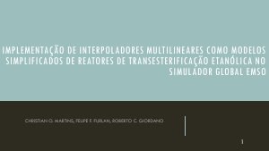 apresentacao-cic-cidti-2019-implementacao-de-interpoladores-multilineares-como-modelos-simplificados-de-1-felipe-furlan-pdf.jpg