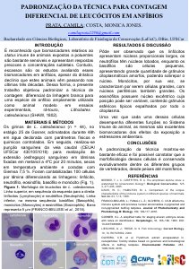 apresentacao-cic-cidti-2019-painel-cic-camila-prata-pdf.jpg