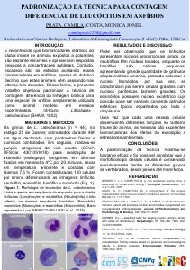 apresentacao-cic-cidti-2019-painel-cic-camila-prata-pdf.jpg