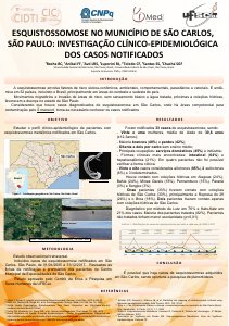 apresentacao-cic-cidti-2019-poster-cic-2019-copia1-silvana-chacha-pdf.jpg
