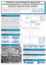 apresentacao-cic-cidti-2019-poster-cic-2019-vitor-sousa-pdf.jpg