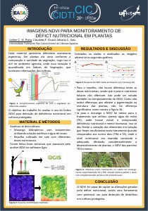 apresentacao-cic-cidti-2019-poster-cic-liniker-rotta-pdf.jpg