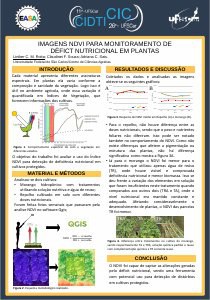 apresentacao-cic-cidti-2019-poster-cic-liniker-rotta-pdf.jpg