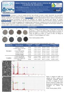 apresentacao-cic-cidti-2019-poster-cic-natalia-carvalho-natalia-carvalho-pdf.jpg