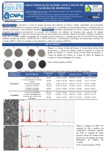 apresentacao-cic-cidti-2019-poster-cic-natalia-carvalho-natalia-carvalho-pdf.jpg