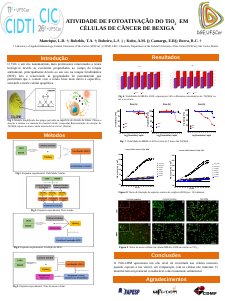 apresentacao-cic-cidti-2019-poster-lida-2-cic-2019-final-lida-manrique-pdf.jpg