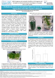 apresentacao-cic-cidti-2019-poster-luana-yoshida-luana-yoshida-pdf.jpg