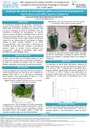 apresentacao-cic-cidti-2019-poster-luana-yoshida-luana-yoshida-pdf.jpg