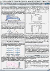 apresentacao-cic-cidti-2019-poster-pibic-vertical-coordenacao-ict-pdf.jpg