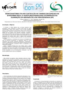 apresentacao-cic-cidti-2019-postercic2019-1-matheus-custodio-pdf.jpg