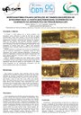 apresentacao-cic-cidti-2019-postercic2019-1-matheus-custodio-pdf.jpg