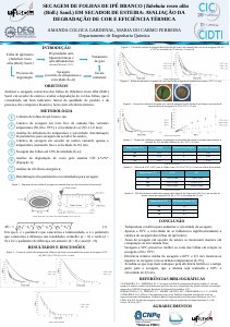 apresentacao-cic-cidti-2019-secagem-de-folhas-de-ipe-branco-em-secador-de-esteira-avaliacao-da-degradacao-de-cor-e-eficiencia-termica-amanda-gardenal-pdf.jpg