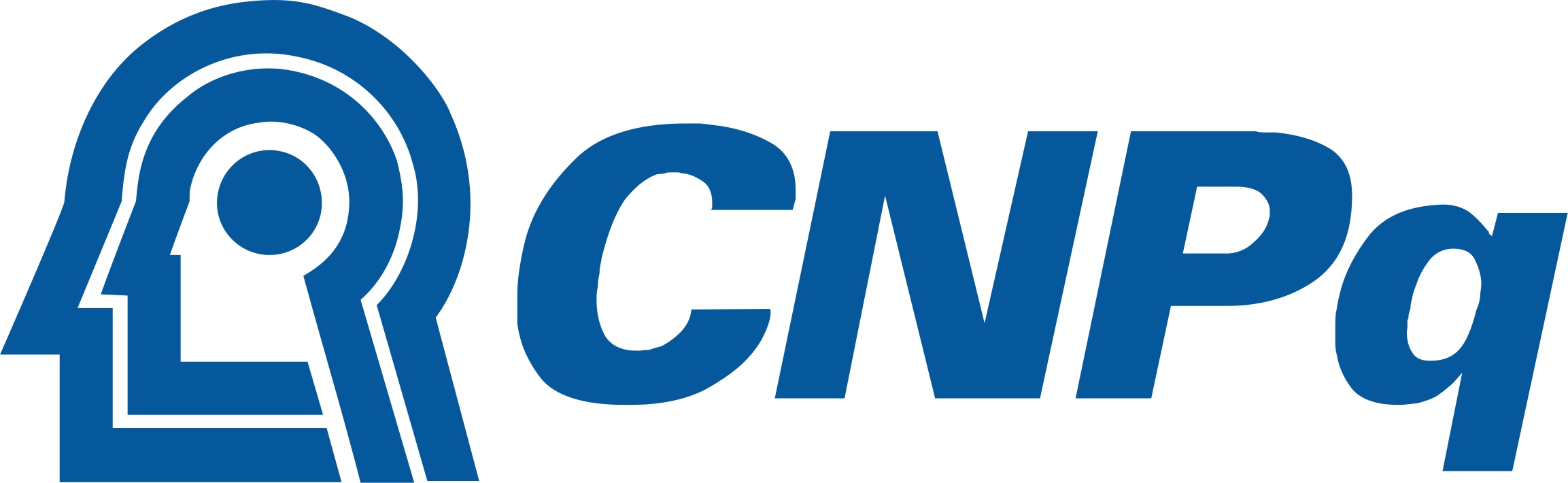 CNPq logo.jpg