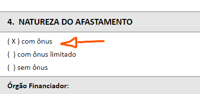 Print da tela do SEI para o preenchimento do ônus do afastamento para pesquisa